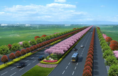 新機(jī)場(chǎng)大道景觀綠化工程正式開工，打造城市生態(tài)迎賓新走廊